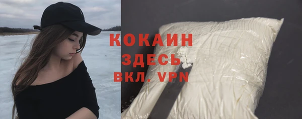 стаф Балахна