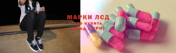 стаф Балахна