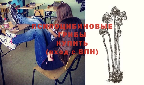 стаф Балахна