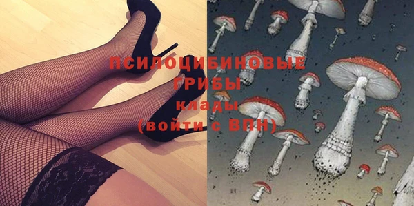 прущая мука Пересвет