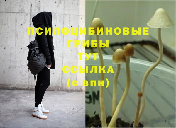 гидропоника Баксан