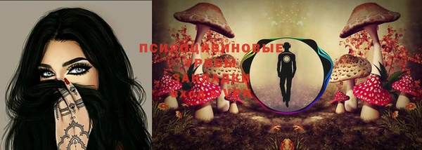 стаф Балахна